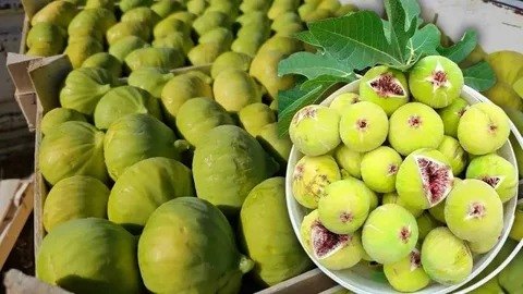 تصویر 3 از انجیر یزدی زرد با عطر طبیعی و بافت لطیف